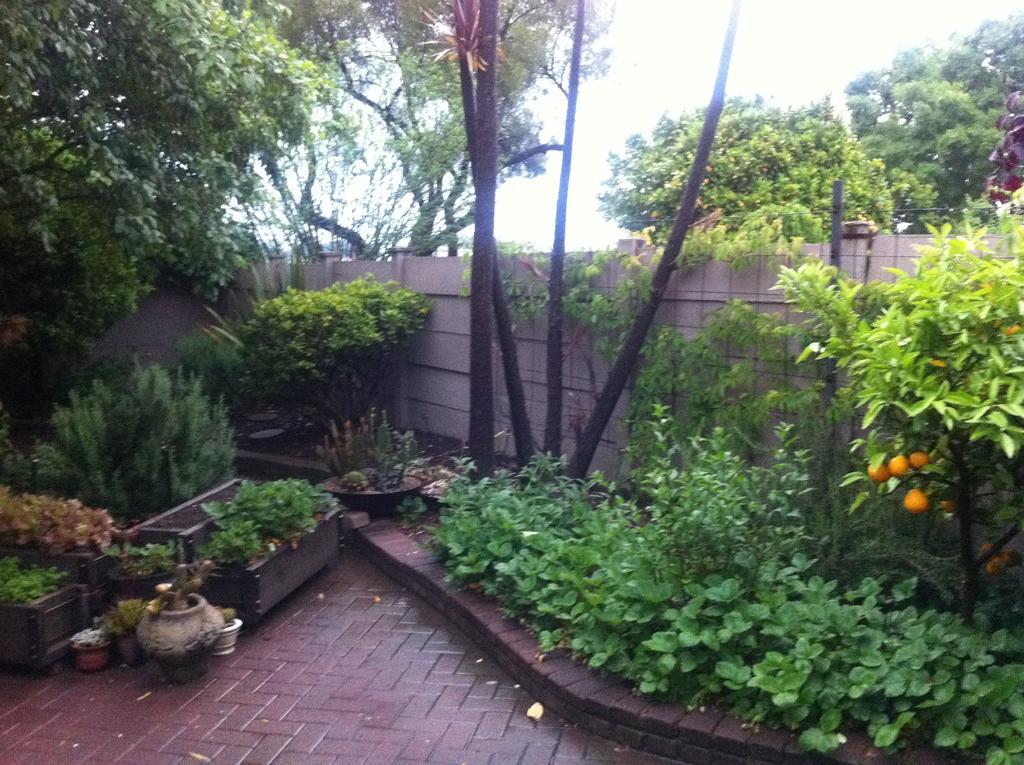 The Crown Guest House Bethlehem Exterior photo